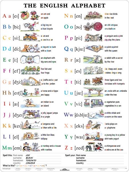 English Alphabet/Pronunciation - tabulka A4, lamino - lamino (21 x 30 cm)