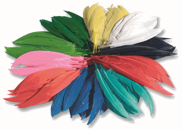 Indiánská barevná pera - 10-20 cm, 100 g