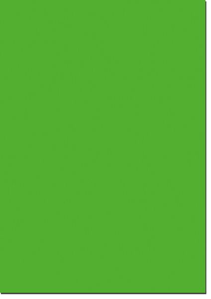 Fotokarton A4, gramáž 300 g - 10 listů - barva zelená tráva