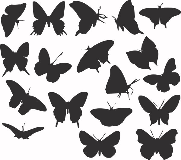 Levně Plastová šablona - Motýlci, 29 × 29 cm