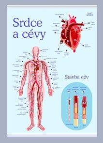 Srdce a c&#233;vy 594 &#215; 841 mm - v&#253;ukov&#253; plak&#225;t