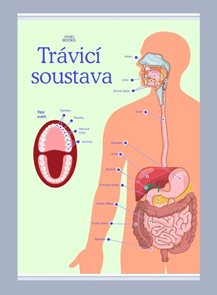 Tr&#225;vic&#237; soustava 420 &#215; 594 mm - v&#253;ukov&#253; plak&#225;t