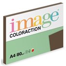 Coloraction A4 80 g 100 ks - Brown/sytá hnědá