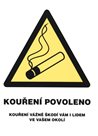 Kouření povoleno (označení restaurací) - 12x16 / samolepící folie