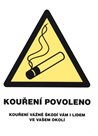 Kouření povoleno (označení restaurací) - 21x28 / samolepící zevnitř