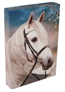 Box na sešity A4 - bílý kůň