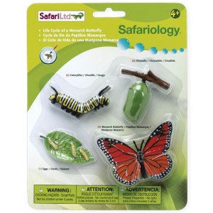 Levně Životní cyklus - Motýl - blistr - Safari Ltd.