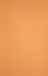 Pěnovka 22,5x15 cm - samolepící - oranžová