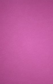 Pěnovka 22,5x15 cm - samolepící - růžová