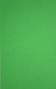 Pěnovka 22,5x15 cm - samolepící - zelená