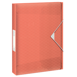 Box na spisy Esselte Colour'Ice A4 2,5 cm - ledově meruňková