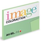 Coloraction A4 80 g 100 ks - Forest/pastelově zelená