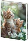 Památník A5 čistý - Tabby