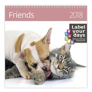 Kalendář nástěnný 2018 Label your days - Friends