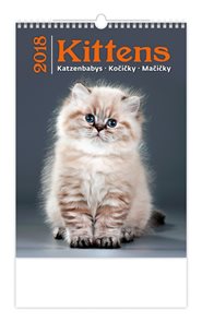 Kalendář nástěnný 2018 - Kočičky - Kittens