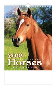 Kalendář nástěnný 2018 - Koně - Horses