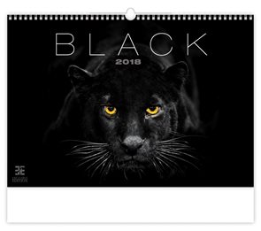 Kalendář nástěnný 2018 - Black