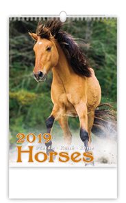Kalendář nástěnný 2019 - Horses