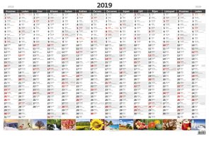 Kalendář nástěnný 2019 - Plánovací roční mapa A1 obrázková