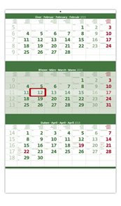 Kalendář nástěnný 2019 - Tříměsíční zelený