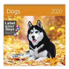 Kalendář nástěnný 2020 Label your days - Dogs