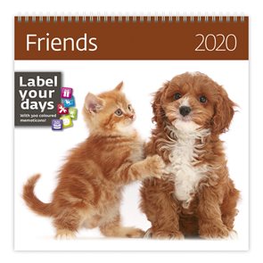 Kalendář nástěnný 2020 Label your days - Friends