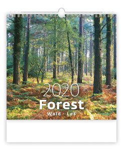 Kalendář nástěnný 2020 - Forest/Wald/Les