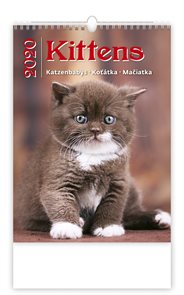 Kalendář nástěnný 2020 - Kittens/Katzenbabys/Koťátka/Mačičky
