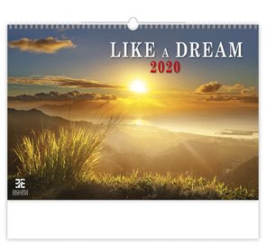 Kalendář nástěnný 2020 - Like a Dream