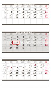 Kalendář nástěnný 2021 - Tříměsíční skládaný šedý