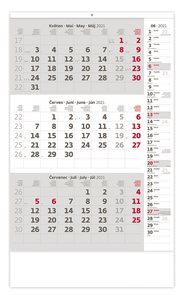 Kalendář nástěnný 2021 - Tříměsíční šedý s poznámkami