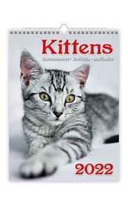 Kalendář nástěnný 2022 - Kittens/Katzenbabys/Koťátka/Mačičky