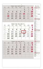 Kalendář nástěnný 2022 - Tříměsíční šedý s poznámkami