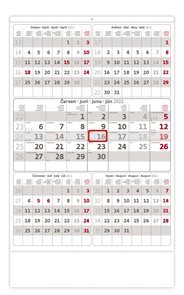 Kalendář nástěnný 2022 - Pětiměsíční šedý
