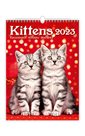 Kalendář nástěnný 2023 - Kittens/Katzenbabys/Koťátka/Mačičky