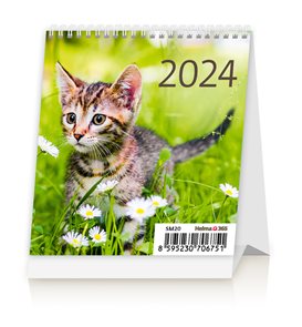 Kalendář stolní 2024 - Mini Kittens