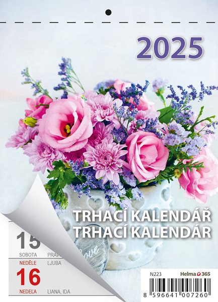 Kalendář nástěnný 2025 - Týdenní trhací A6