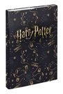 BAAGL Desky na školní sešity A4 - Harry Potter Pobertův plánek