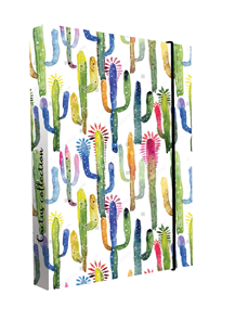 Desky na sešity s boxem A4 Jumbo - Kaktus