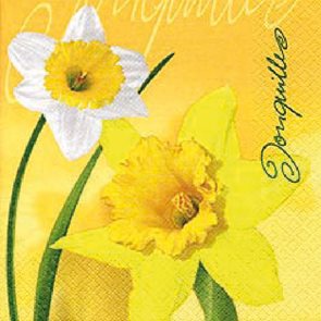 Stil Ubrousky 33 x 33 Velikonoce - Narcis