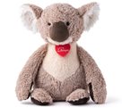 Koala Dubbo