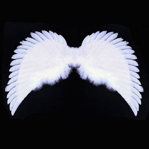Křídla andělská, bílá třpytivá