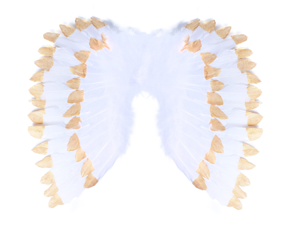 Levně Andělská křídla s peřím bílo - zlatá
