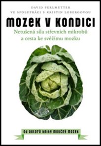 Mozek v kondici