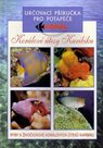 Korálové útesy v karibiku - Určovací příručka pro potapěče - Ryby a živočichové korálových útesů Kar