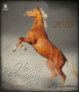 Kalendář nástěnný 2016 - Horses Dreaming/Exklusive