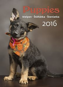 Kalendář nástěnný 2016 - Štěňátka - Puppies