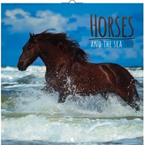 Kalendář nástěnný 2016 - Koně a moře, poznámkový