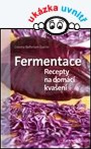 Fermentace - Recepty na dom&#225;c&#237; kvašen&#237;