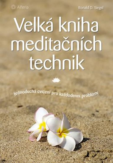 Velká kniha meditačních technik - Jednoduchá cvičení pro každodenní problémy - Siegel Ronald D.
